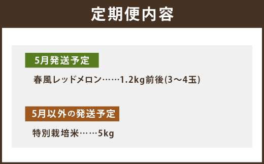 【6回定期便】つるたファームまるごと定期便 Red(特別栽培米 5kg・春風レッドメロン 1.2kg前後)