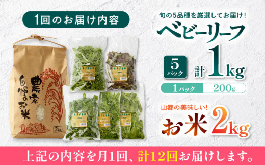 全12回定期便】有機野菜 ベビーリーフ (200g×5パック) お米 2kg 計3kg