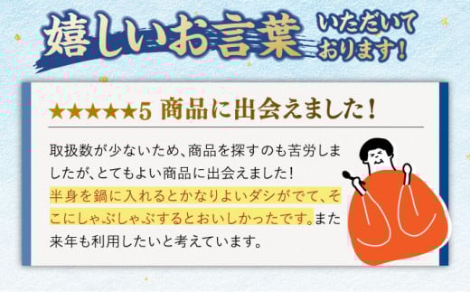 大人気の平戸ウチワエビ！旨みと甘みのしゃぶしゃぶセット。