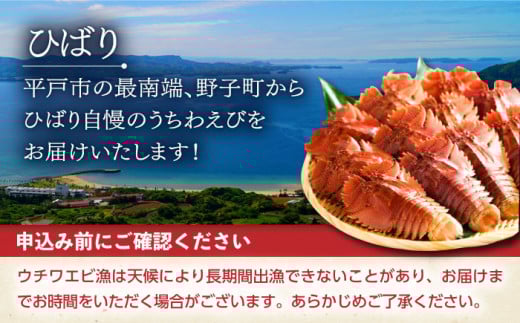 大人気の平戸ウチワエビ！旨みと甘みのしゃぶしゃぶセット。