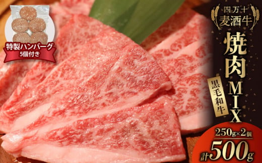 牛肉 焼肉用 ミックス 四万十麦酒牛 500g ( 250g × 2パック ) 合い挽きハンバーグ 150g × 5個 セット SNM005 1241260 - 高知県須崎市
