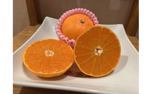 佐賀の柑橘 1月 伊予柑・せとか詰め合わせ