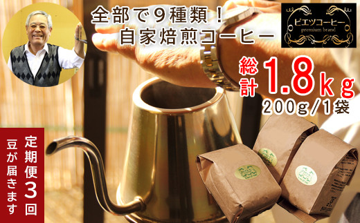 TP02：【3回定期便】【コーヒー豆】自家焙煎コーヒー　ギフト箱入り　600g×3回 1443141 - 鳥取県日吉津村