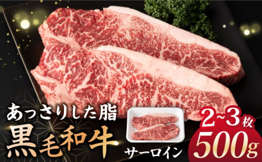 サーロイン ステーキ 500g（2～3枚） 牛肉 和牛 黒毛和牛