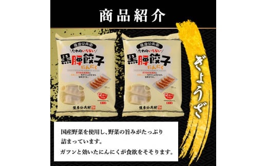 鹿児島県産黒豚 餃子鍋にピッタリなセット(にんにく)  合計約2kg