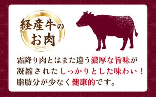 サーロイン ステーキ 500g（2～3枚） 牛肉 和牛 黒毛和牛