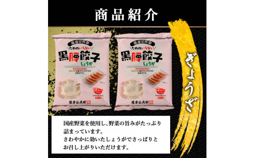 鹿児島県産黒豚 餃子鍋にピッタリなセット(しょうが)  合計約2kg