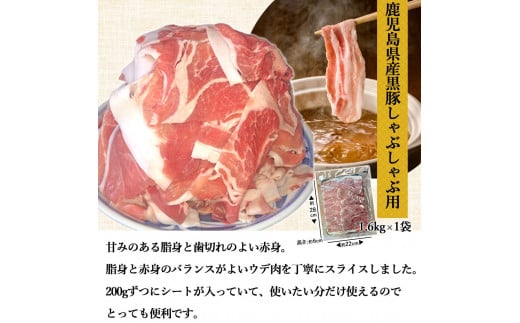 鹿児島県産黒豚 ジューシーなバラエティーセット 5種 合計約3.3kg