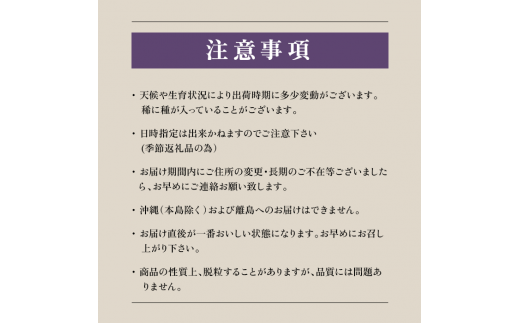 ふるさと納税 ＜2024年 先行予約＞本場 山梨 巨峰 ぶどう 2～3房 約1.2