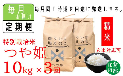 [定期便3回][精米]井上農場の特別栽培米 つや姫10kg×3回(計30kg)