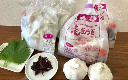 にんにく餃子(22個入り×2袋)と梅しそ餃子(22個入り×2袋)のセット