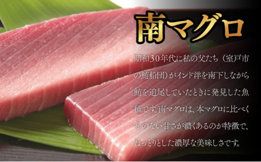 天然本マグロ 天然南マグロ 中トロ各１柵 （計４００ｇ） 食べ比べ - 高知県室戸市｜ふるさとチョイス - ふるさと納税サイト