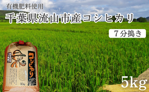 コシヒカリ 米 5kg 有機肥料 7分搗き 1137396 - 千葉県流山市