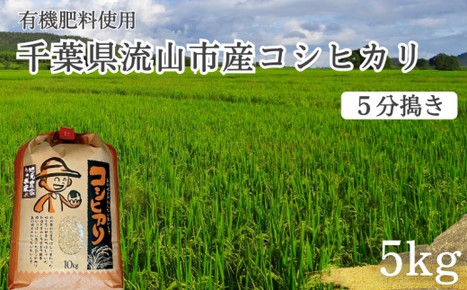 コシヒカリ 米 5kg 有機肥料 5分搗き 1137395 - 千葉県流山市