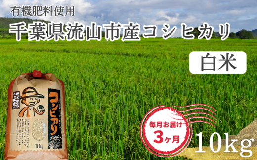 【毎月定期便3回】コシヒカリ 米 10kg 有機肥料 白米