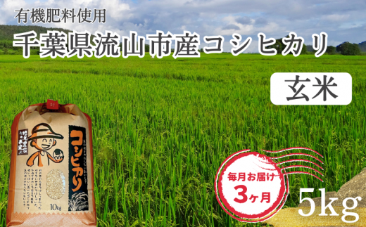 【毎月定期便3回】コシヒカリ 米 5kg 有機肥料  玄米