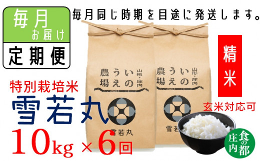【定期便6回】【精米】井上農場の特別栽培米　雪若丸10kg×6回（計60kg）
