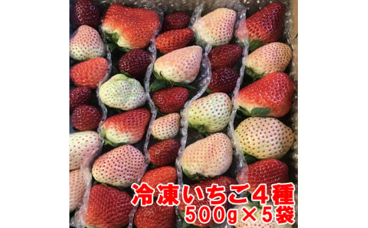 110007　冷凍いちご4種　500ｇ×5袋 1243098 - 高知県奈半利町