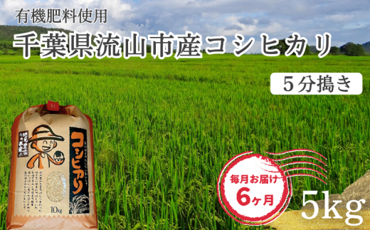 【毎月定期便6回】コシヒカリ 米 5kg 有機肥料 5分搗き 1137407 - 千葉県流山市