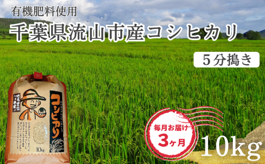 【毎月定期便3回】コシヒカリ 米 10kg 有機肥料 5分搗き