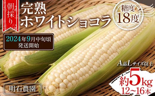 ＜朝採り＞ 完熟ホワイトショコラ 明石農園 糖度18度 約5kg とうもろこし 山形県産 A品 Lサイズ以上 《先行予約2024年度9月中旬頃発送開始》 FSY-1296 1247616 - 山形県山形県庁