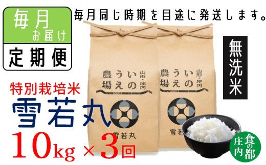 [定期便3回][無洗米]井上農場の特別栽培米 雪若丸10kg×3回(計30kg)