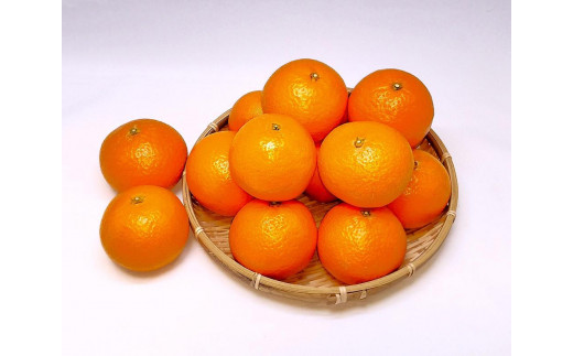 清見オレンジ 3kg（2Lサイズ） 1242518 - 和歌山県白浜町