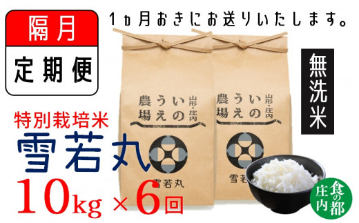 【隔月定期便6回】【無洗米】井上農場の特別栽培米　雪若丸10kg×6回（計60kg）