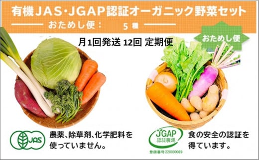 ２０１０　野菜 オーガニック 野菜 5種 おためしセット 有機JAS認証 有機野菜 野菜セット 月1回 12回 定期便 しあわせ野菜畑
