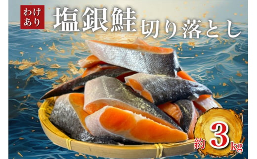 ＜訳あり＞人気の海鮮お礼品 チリ産 定塩 