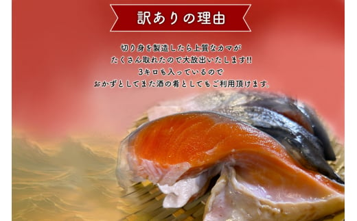 ＜訳あり＞人気海鮮お礼品 銀鮭カマ 約3kg【1389618】