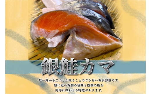 千葉県いすみ市のふるさと納税 ＜訳あり＞人気海鮮お礼品 銀鮭カマ 約3kg【1389618】