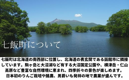 2023北海道大沼グレートラン・ウォーク プレミアムチケットB ふるさと納税 人気 おすすめ ランキング 北海道大沼 チケット グレートラン・ウォーク  北海道 七飯町 送料無料 - 北海道七飯町｜ふるさとチョイス - ふるさと納税サイト