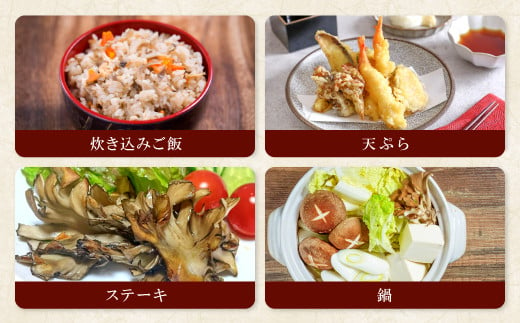 炊き込みご飯や天ぷら、ステーキ、鍋など様々なお料理をお楽しみいただけます♪