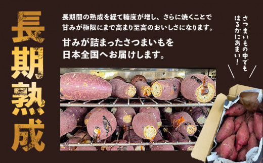 鹿児島県鹿児島市のふるさと納税 畑の金貨　生芋　紅はるか2kg　K181-004