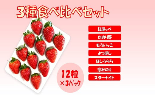 シエルファーム 大粒いちご 12粒 3品種 食べ比べ 3パック / 大粒 高級 いちご 苺