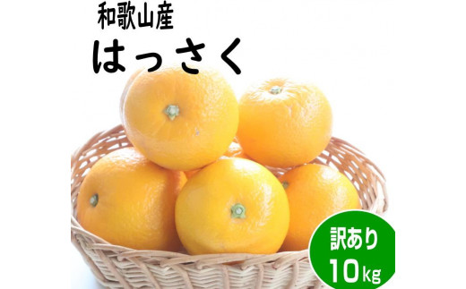 訳あり・ご家庭用】はっさく（八朔）約10kg 和歌山産 - 和歌山県印南町