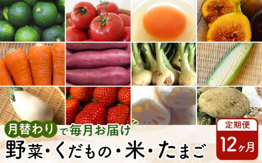 【12ヶ月定期便】野菜/くだもの/米/たまご（月替わりで毎月お届け） 1243020 - 徳島県徳島市