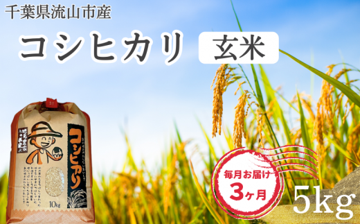 [毎月定期便3回]コシヒカリ 米 5kg 新川耕地 玄米
