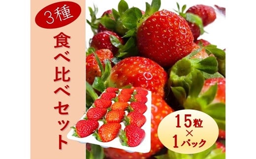 シエルファーム 大粒いちご 15粒 3品種 食べ比べ / 大粒 高級 いちご 苺