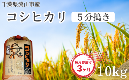 【毎月定期便3回】コシヒカリ 米 10kg 新川耕地 5分搗き