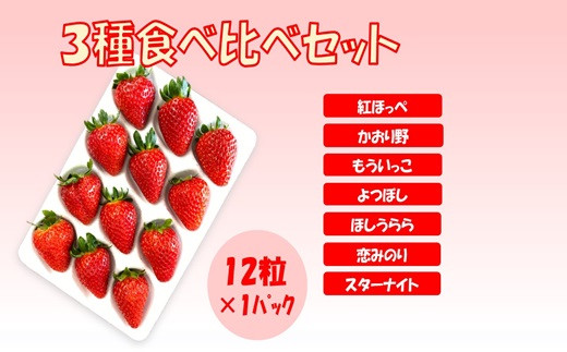 シエルファーム 大粒いちご 12粒 3品種 食べ比べ / 大粒 高級 いちご 苺