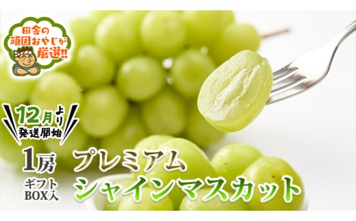 [お歳暮熨斗付]プレミアムシャインマスカット1房 ギフトBOX入り [令和6年12月より発送開始] 田舎の頑固おやじが厳選! 茨城県 県産 つくばみらい市 人気 厳選 果物 くだもの 旬 旬の果物 旬のフルーツ プレミア プレミアム シャインマスカット マスカット ぶどう ブドウ ギフト 贈り物 プレゼント ボックス入り 熨斗 熨斗付き お歳暮 御歳暮 冷蔵 送料無料