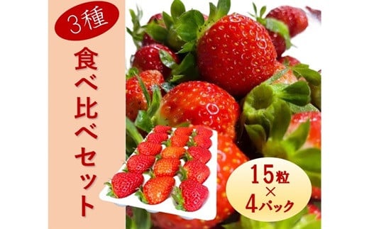シエルファーム 大粒いちご 15粒 3品種 食べ比べ 4パック / 大粒 高級 いちご 苺