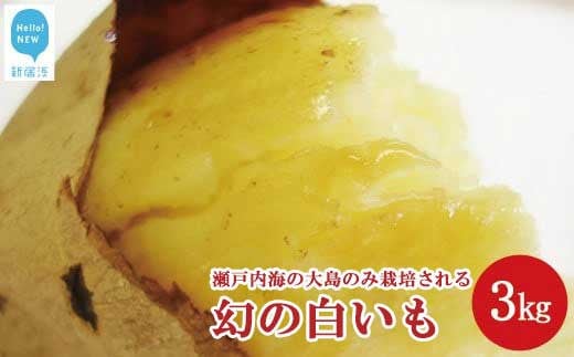 【先行予約】 新居浜大島産 幻のさつまいも 『白いも』 3kg 七福芋 白芋