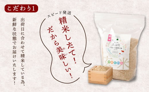 阿蘇だわら（玄米）10kg（2kg×5）熊本県 高森町 オリジナル米