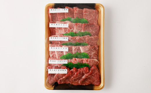 博多和牛 焼肉 食べ比べ セット ( 6種盛り ) 合計約600g ロース バラ 赤身 希少部位 国産 冷凍