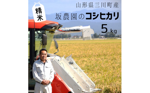 [令和5年産・精米]坂農園の厳選米!コシヒカリ5kg
