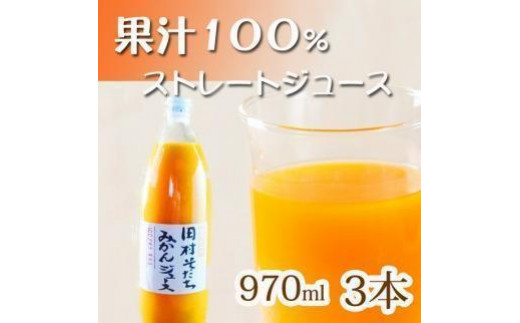 果汁１００％田村そだちみかんジュース　970ml×3本 477105 - 和歌山県九度山町