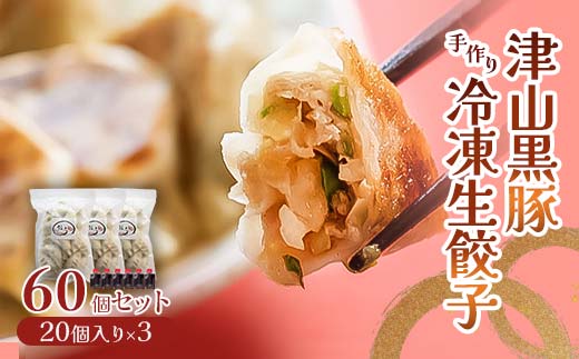 津山黒豚手作り冷凍生餃子(60個セット) TY0-0375 526534 - 岡山県津山市